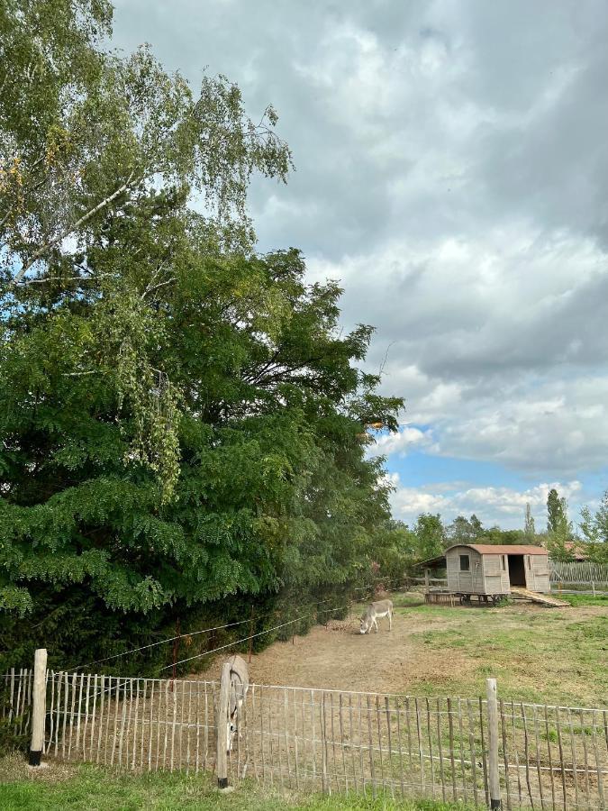 Lieblingsplatz Parey - Tiny House Apartman Kültér fotó